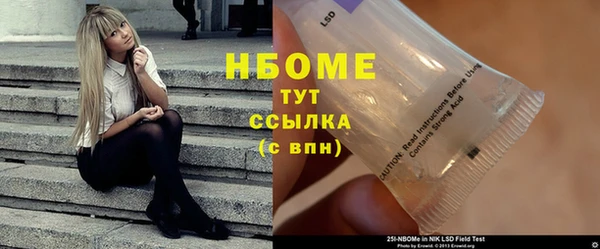 амф Пестово