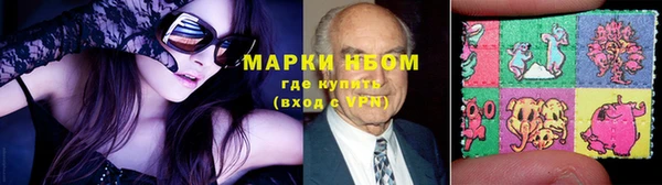 амф Пестово