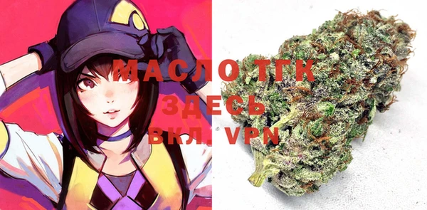 амф Пестово