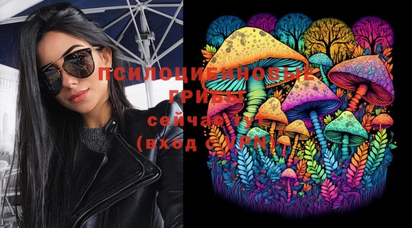 mdpv Пересвет