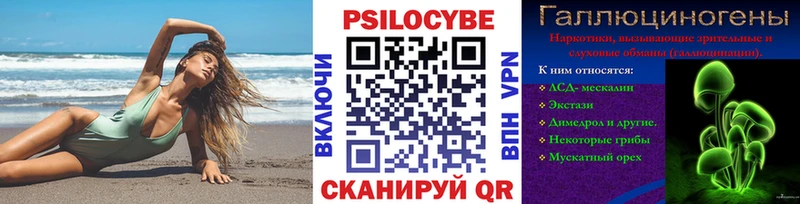 Купить  Находка  Галлюциногенные грибы Psilocybine cubensis 